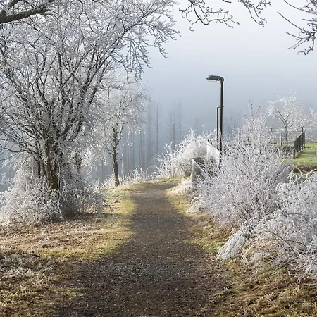 Holiday home Spitzenblick 2 - Im Harz Sankt Andreasberg