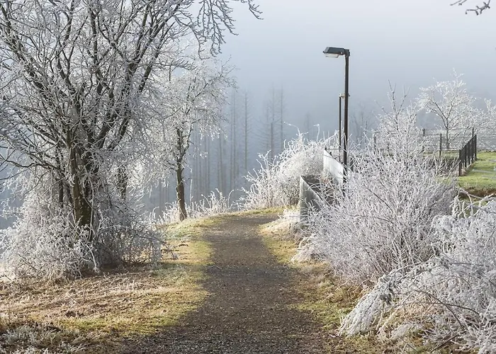 Дом отдыха Spitzenblick 2 - Im Harz Санкт-Андреасберг